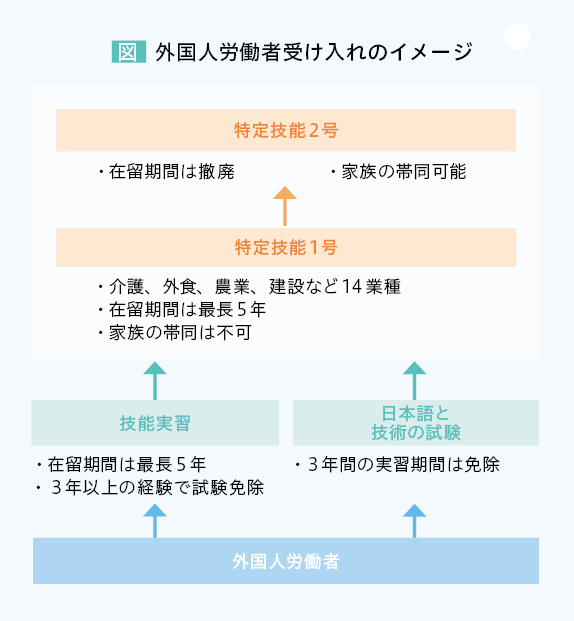 図 外国人労働者受け入れのイメージ 外国人労働者 →［技能実習…在留期間は最長5年・3年以上の経験で試験免除 日本語と技術の試験…3年間の実習期間は免除］ →特定技能1号…介護、外食、農業、建設など14業種・在留期間は最長5年・家族の帯同は不可 →特定技能2号…在留期間は撤廃・家族の帯同可能