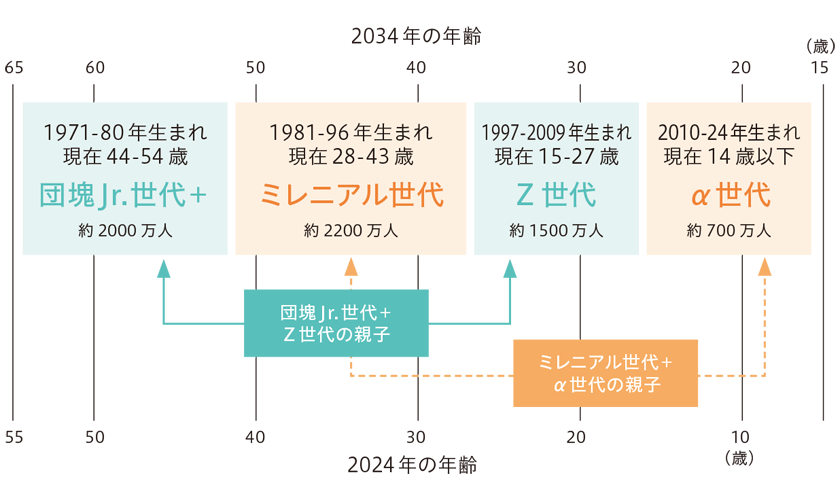 2024年・2034年の生産年齢の人口構造