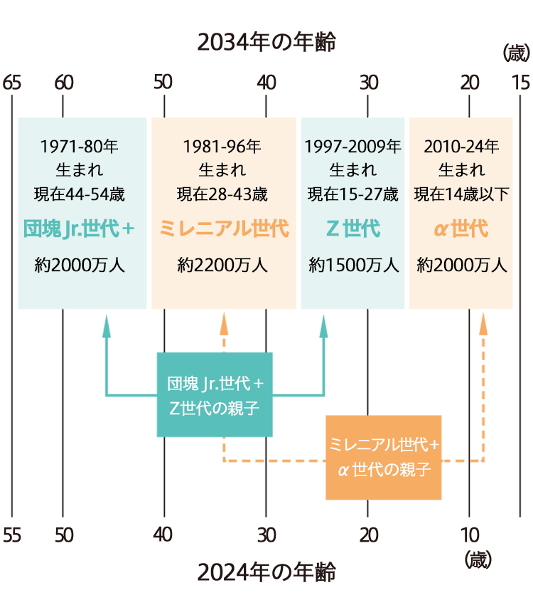 2024年・2034年の生産年齢の人口構造